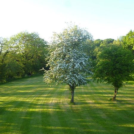 Hotel Newmoor Park Launceston Zewnętrze zdjęcie