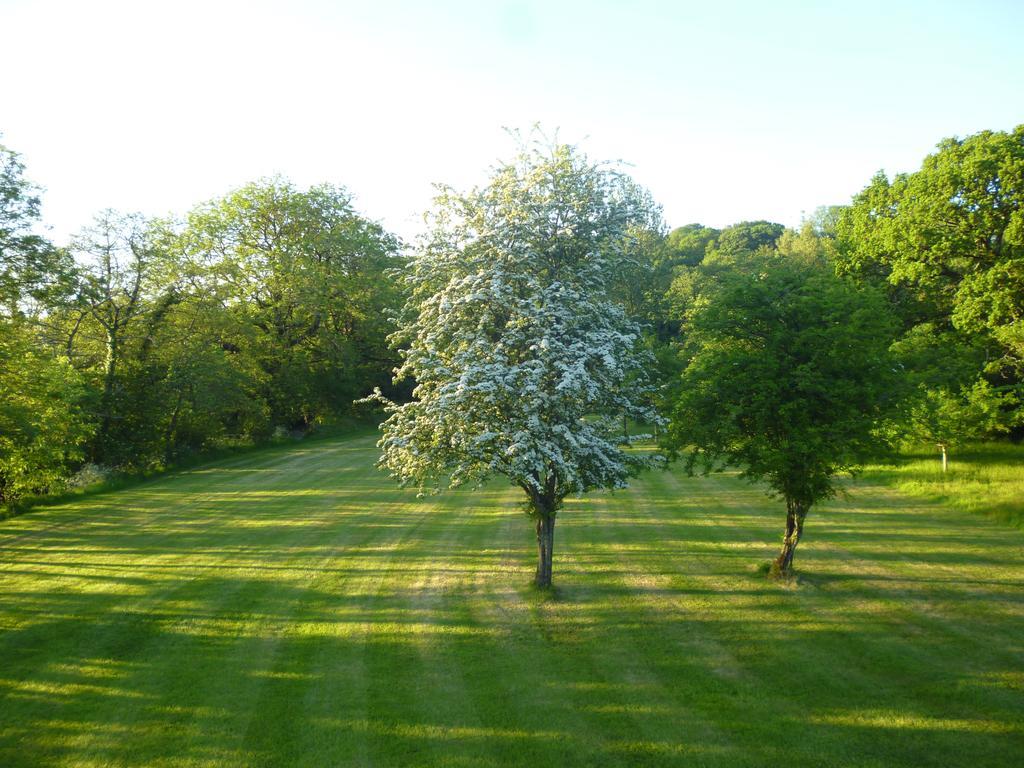 Hotel Newmoor Park Launceston Zewnętrze zdjęcie