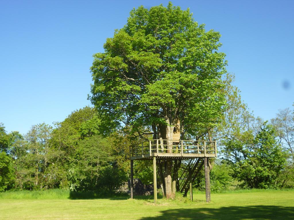 Hotel Newmoor Park Launceston Zewnętrze zdjęcie