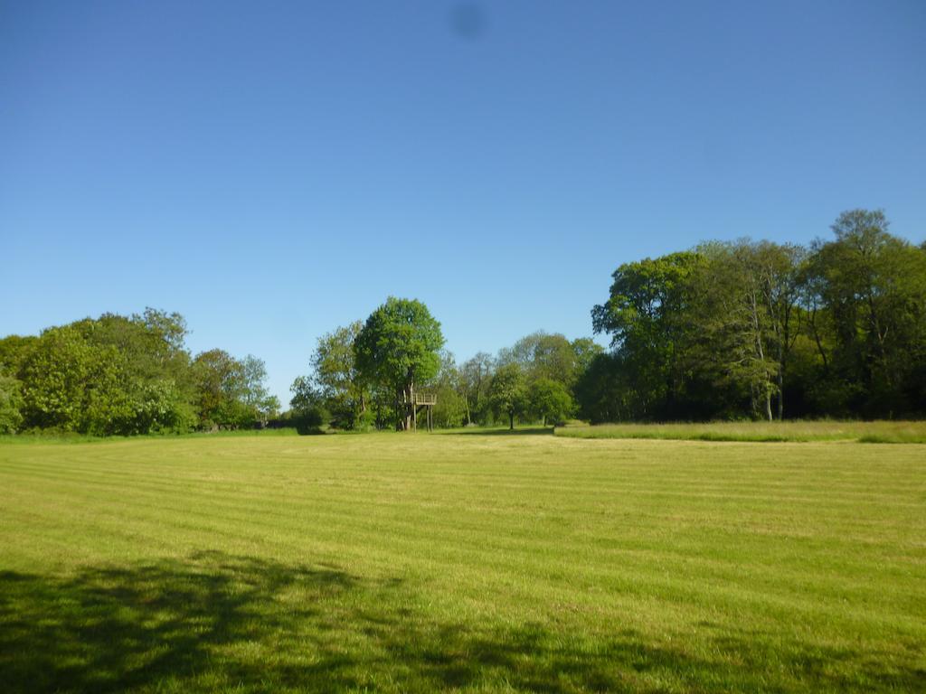 Hotel Newmoor Park Launceston Zewnętrze zdjęcie
