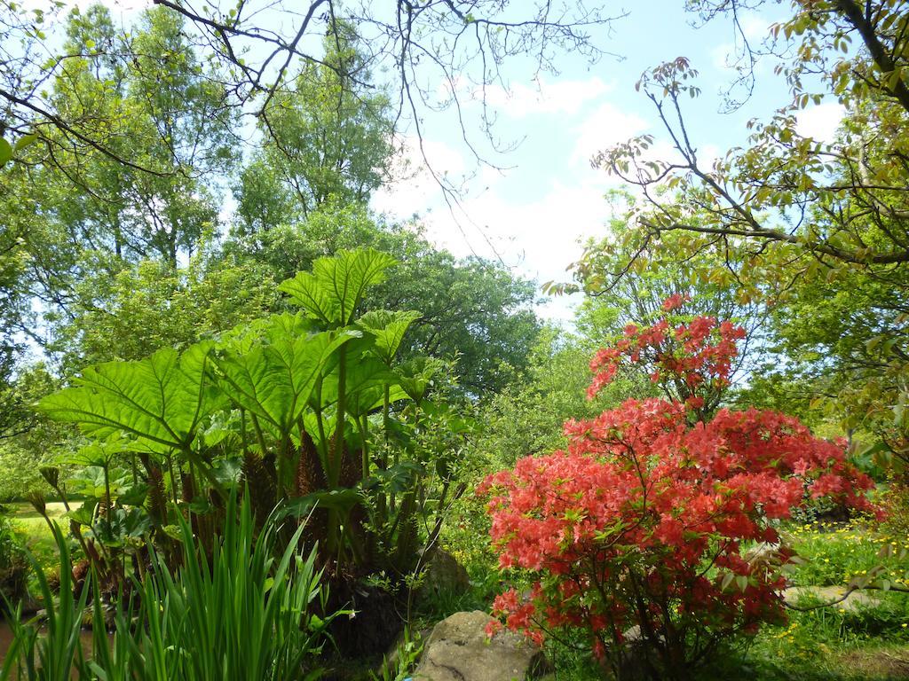 Hotel Newmoor Park Launceston Zewnętrze zdjęcie