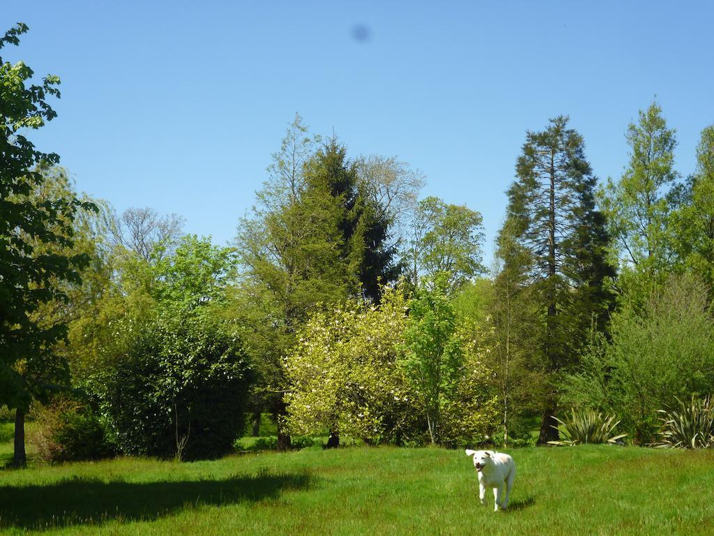 Hotel Newmoor Park Launceston Zewnętrze zdjęcie