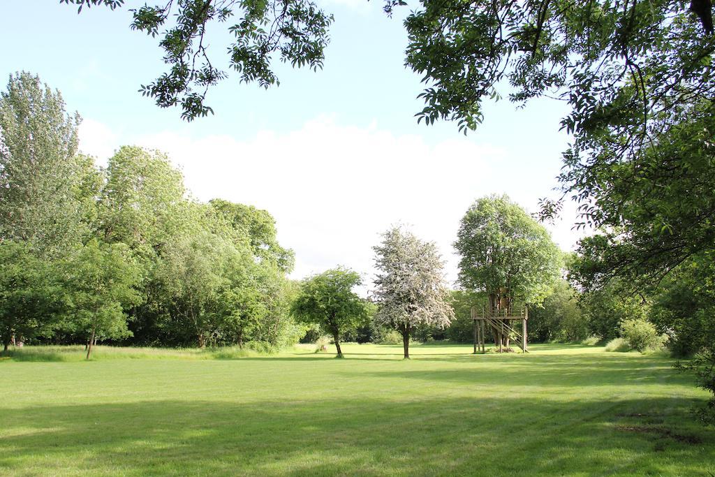 Hotel Newmoor Park Launceston Zewnętrze zdjęcie
