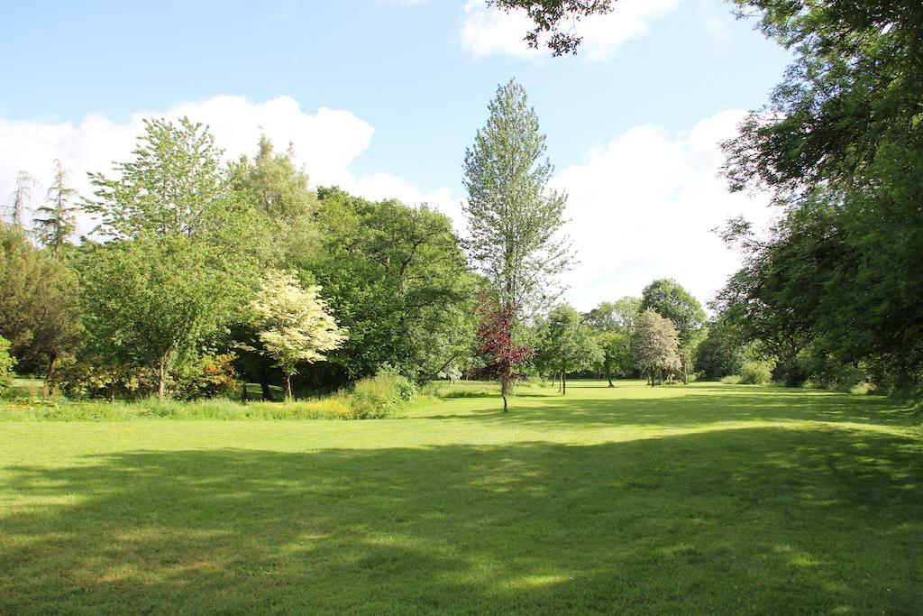 Hotel Newmoor Park Launceston Zewnętrze zdjęcie