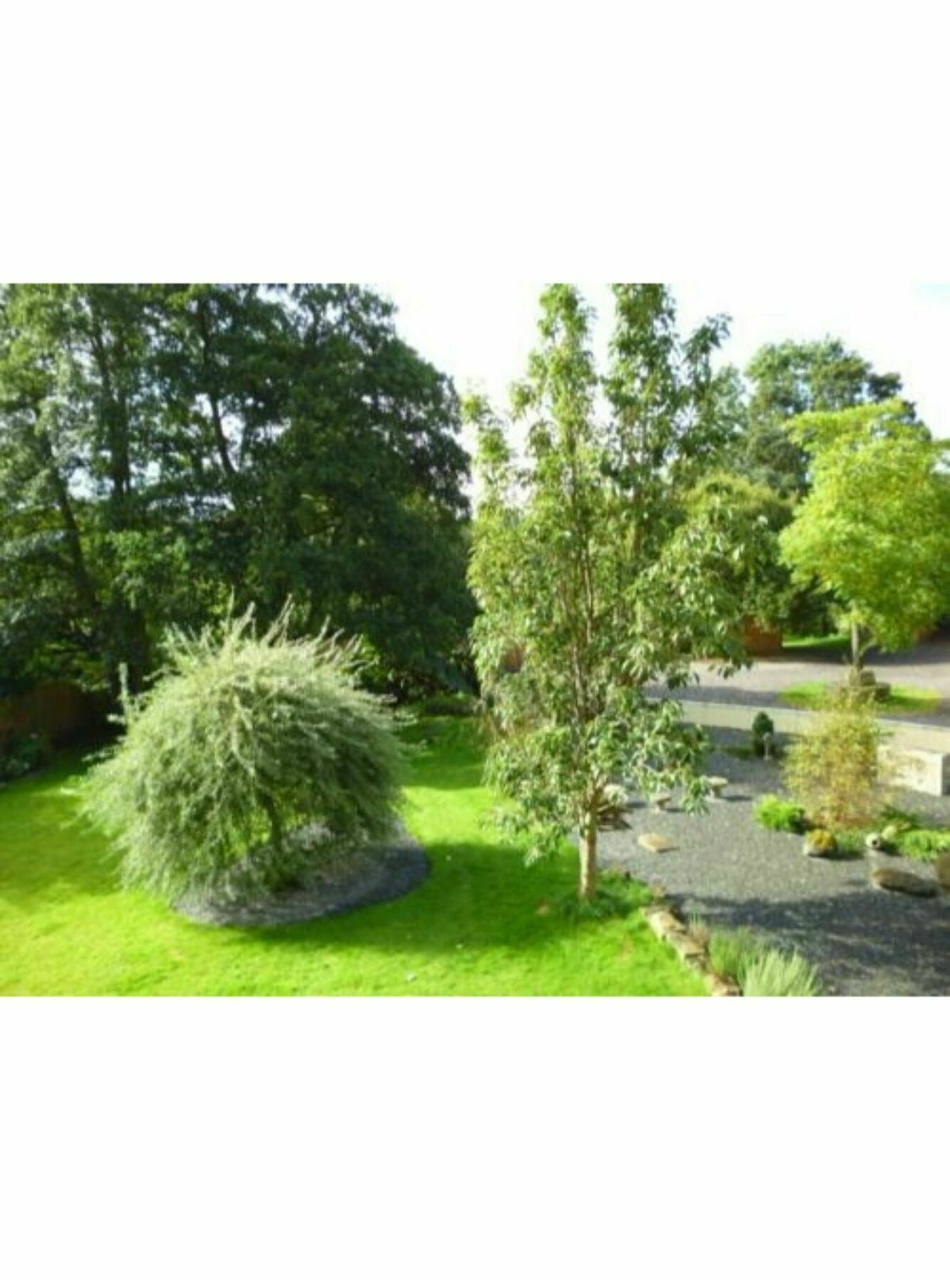 Hotel Newmoor Park Launceston Zewnętrze zdjęcie